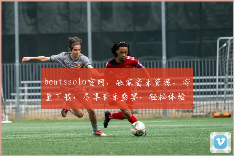 beatssolo官网，独家音乐资源，海量下载，尽享音乐盛宴，轻松体验，三重惊喜等你来
