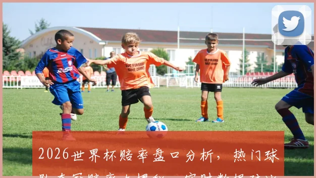 2026世界杯赔率盘口分析，热门球队夺冠赔率大揭秘，实时数据对比
