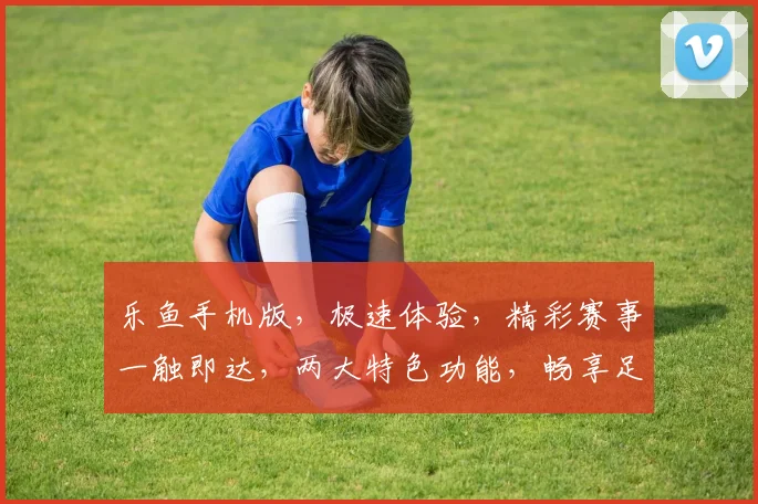 乐鱼手机版，极速体验，精彩赛事一触即达，两大特色功能，畅享足球篮球盛宴