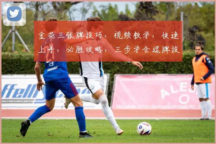 金花三张牌技巧，视频教学，快速上手，必胜攻略，三步学会逗牌技巧，轻松赢牌